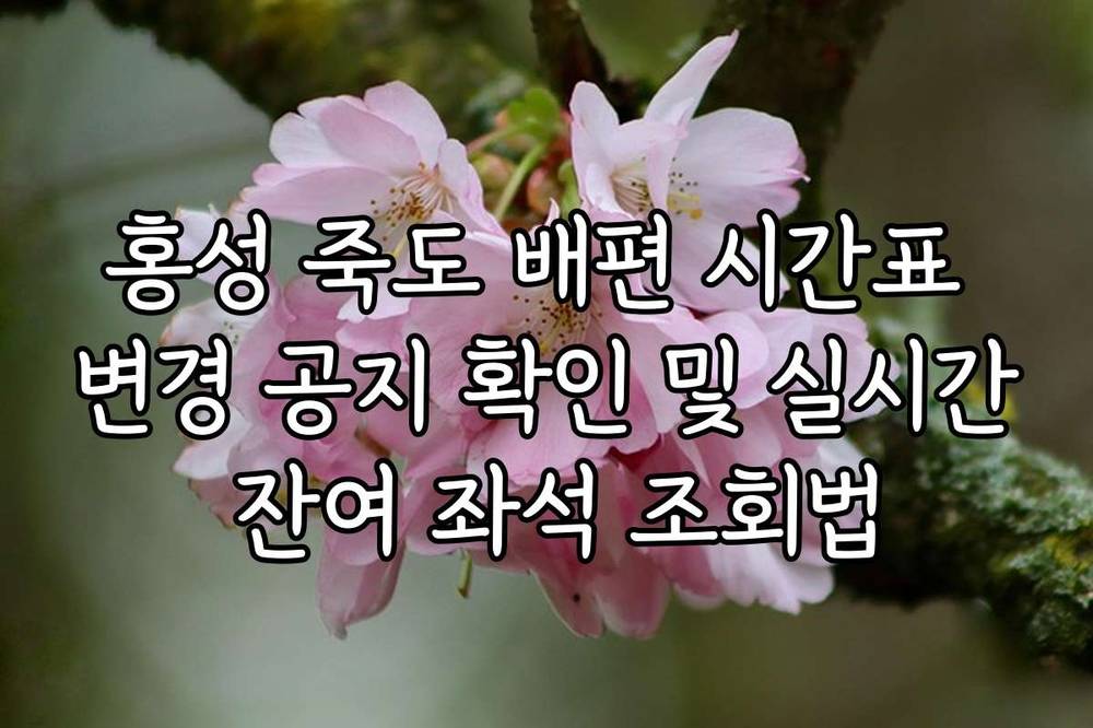 홍성 죽도 배편 시간표 변경 공지 확인 및 실시간 잔여 좌석 조회법