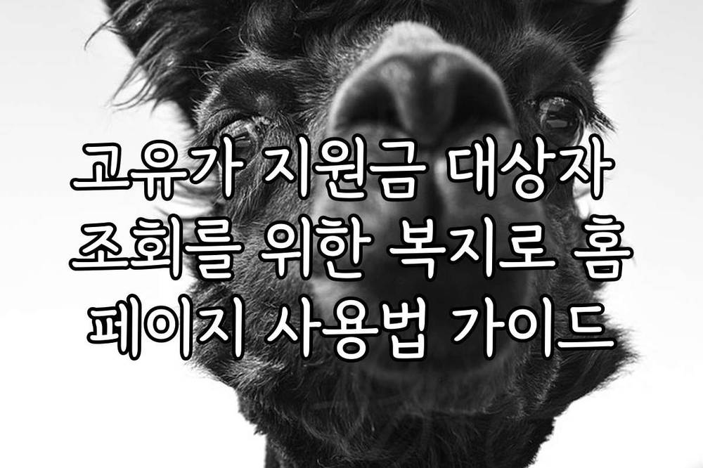 고유가 지원금 대상자 조회를 위한 복지로 홈페이지 사용법 가이드