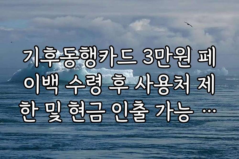 기후동행카드 3만원 페이백 수령 후 사용처 제한 및 현금 인출 가능 여부