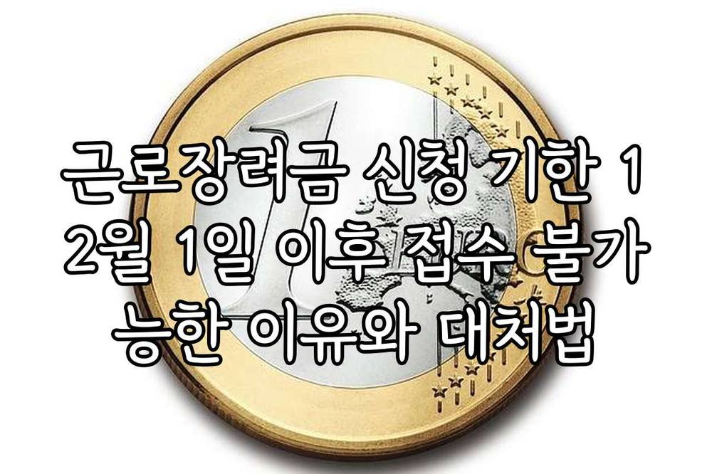 근로장려금 신청 기한 12월 1일 이후 접수 불가능한 이유와 대처법