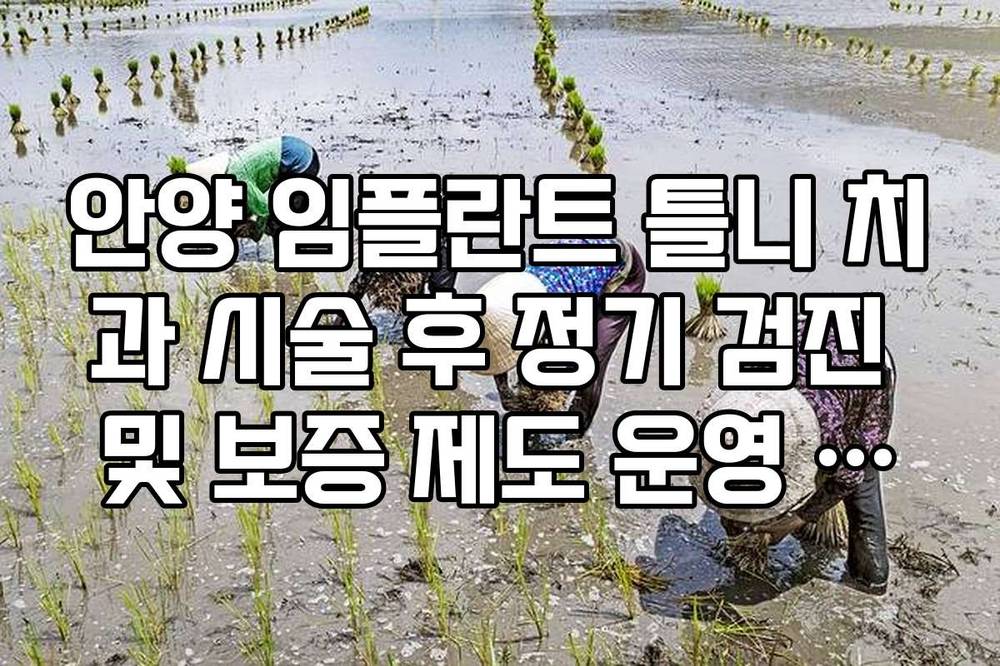 안양 임플란트 틀니 치과 시술 후 정기 검진 및 보증 제도 운영 확인법