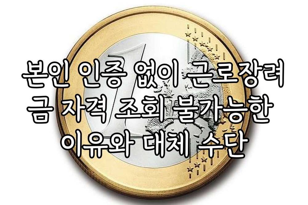 본인 인증 없이 근로장려금 자격 조회 불가능한 이유와 대체 수단