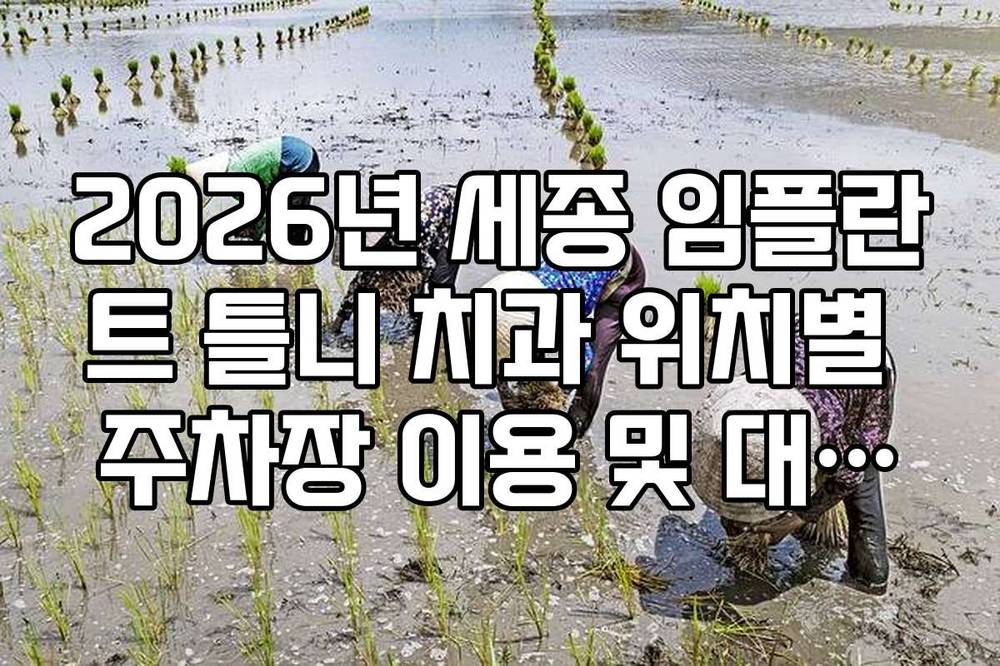 2026년 세종 임플란트 틀니 치과 위치별 주차장 이용 및 대중교통 노선