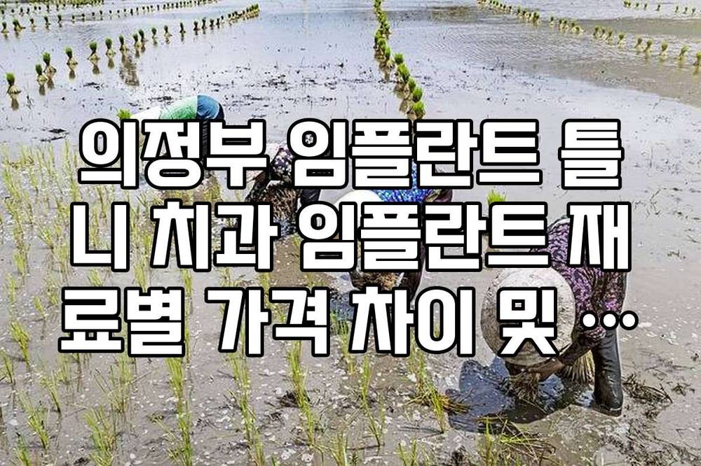 의정부 임플란트 틀니 치과 임플란트 재료별 가격 차이 및 장단점 정리