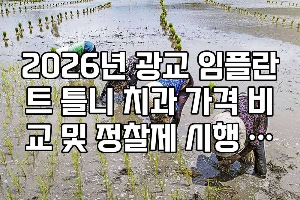 2026년 광교 임플란트 틀니 치과 가격 비교 및 정찰제 시행 업체 리스트
