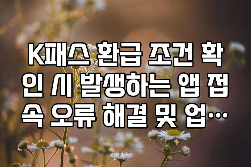 K패스 환급 조건 확인 시 발생하는 앱 접속 오류 해결 및 업데이트 정보
