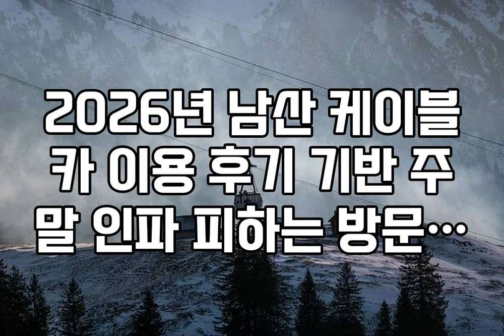 2026년 남산 케이블카 이용 후기 기반 주말 인파 피하는 방문 전략