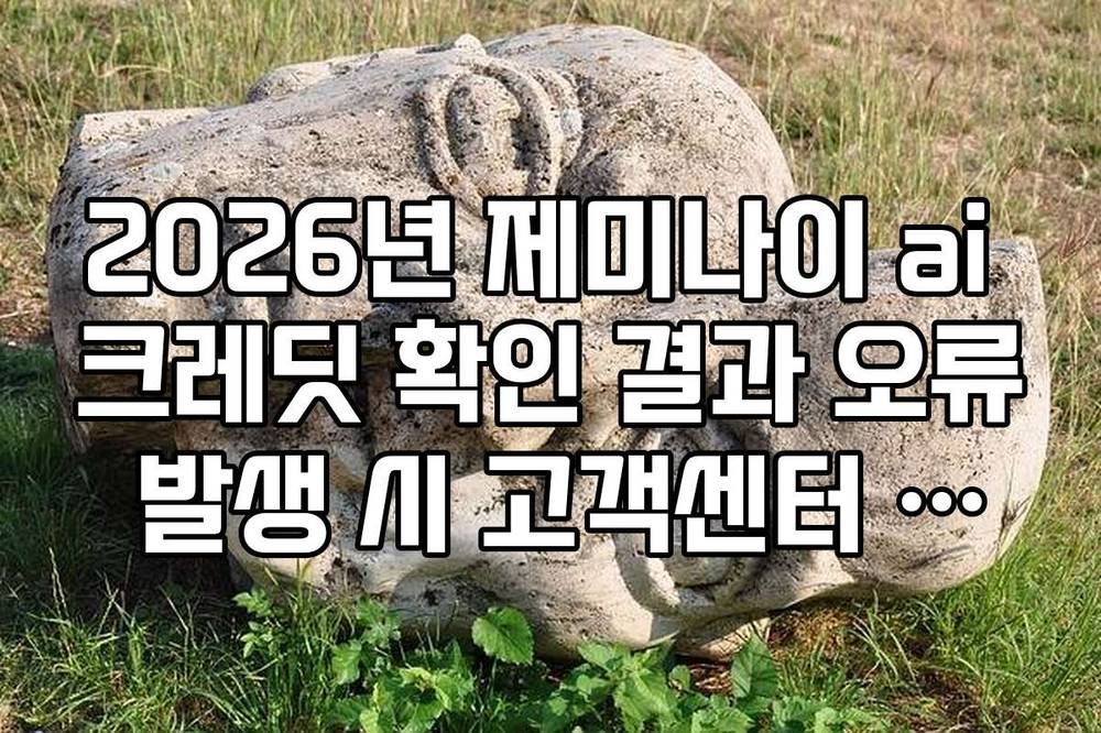 2026년 제미나이 ai 크레딧 확인 결과 오류 발생 시 고객센터 소명법