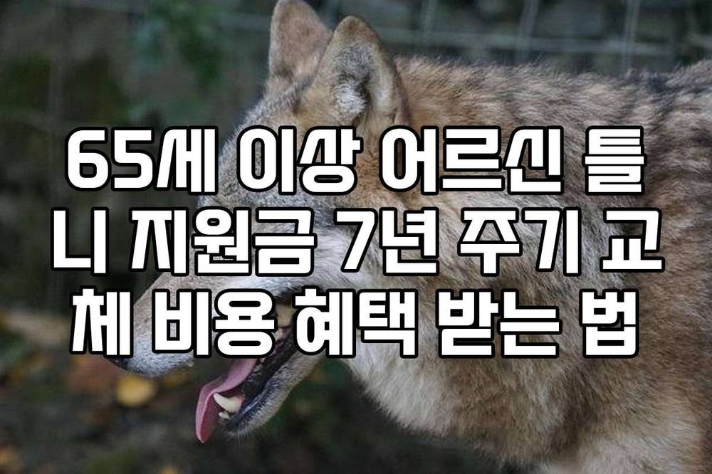 65세 이상 어르신 틀니 지원금 7년 주기 교체 비용 혜택 받는 법