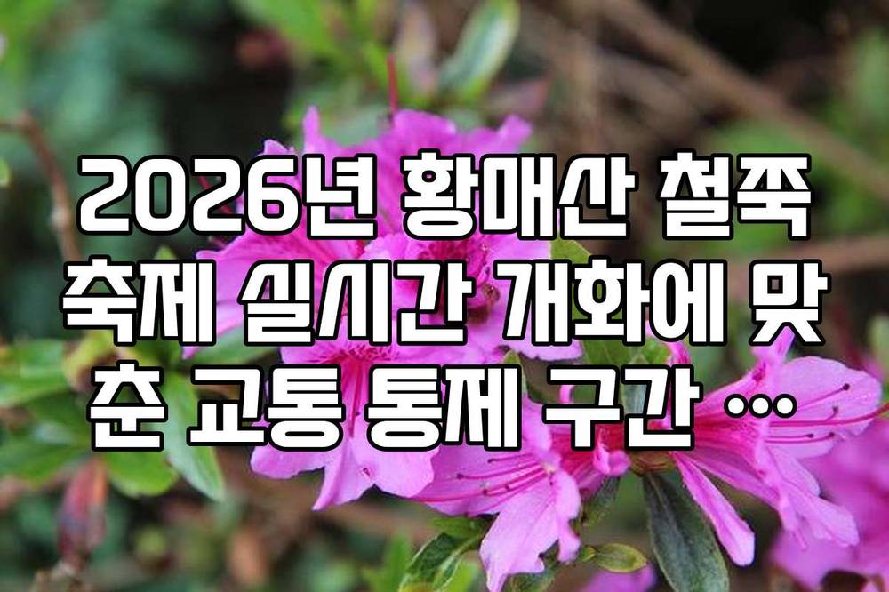 2026년 황매산 철쭉축제 실시간 개화에 맞춘 교통 통제 구간 우회 방법