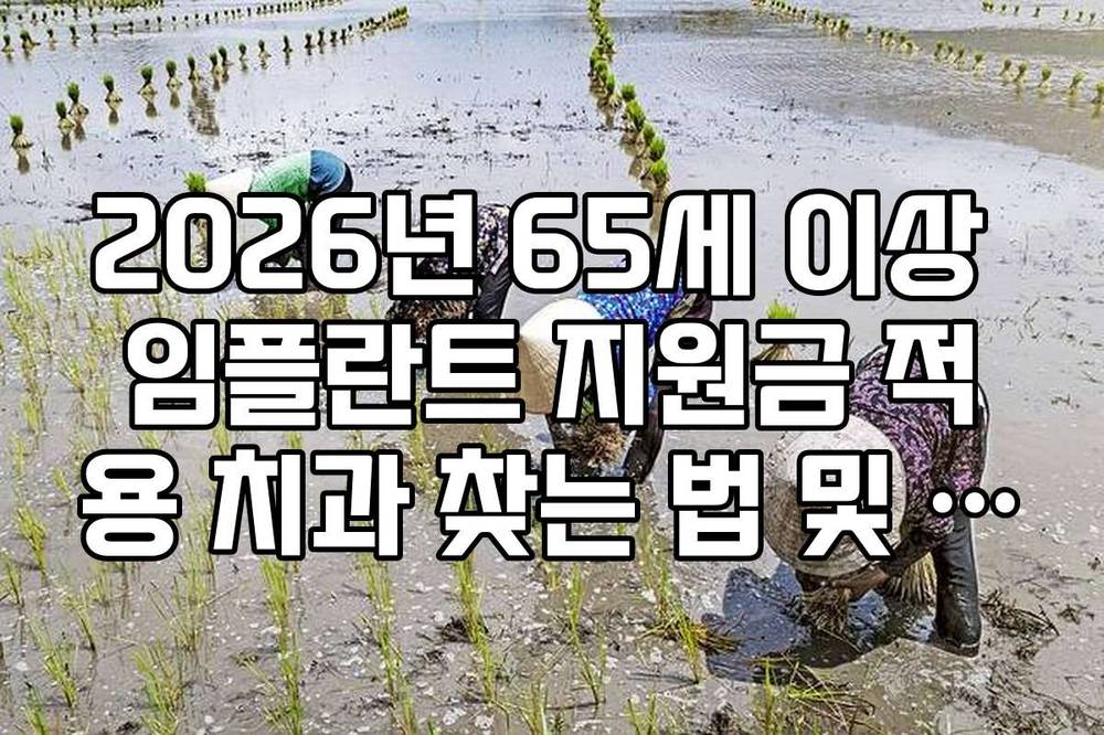 2026년 65세 이상 임플란트 지원금 적용 치과 찾는 법 및 가격 비교
