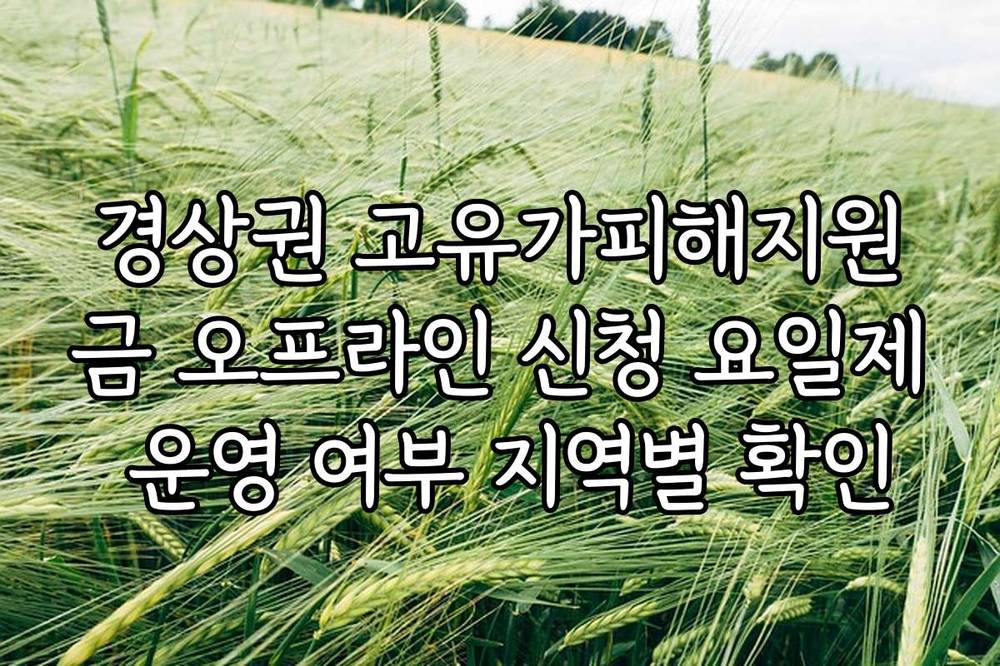 경상권 고유가피해지원금 오프라인 신청 요일제 운영 여부 지역별 확인