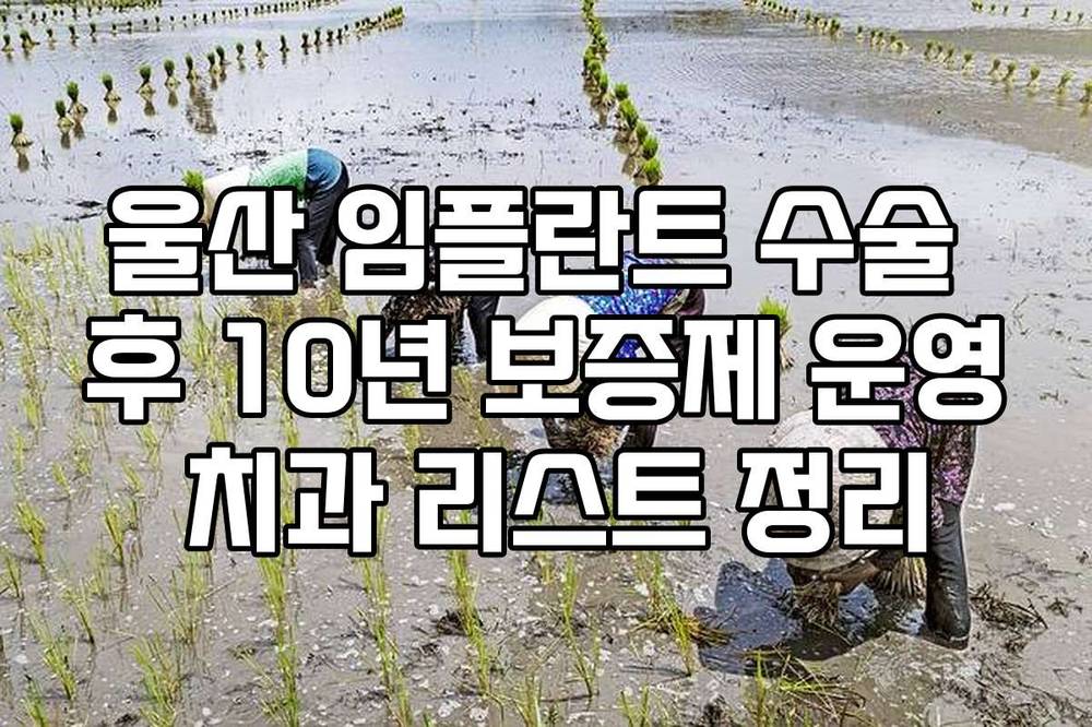 울산 임플란트 수술 후 10년 보증제 운영 치과 리스트 정리