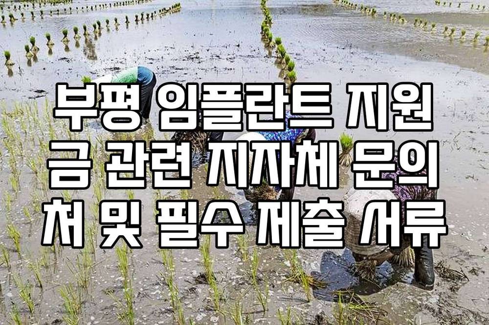 부평 임플란트 지원금 관련 지자체 문의처 및 필수 제출 서류