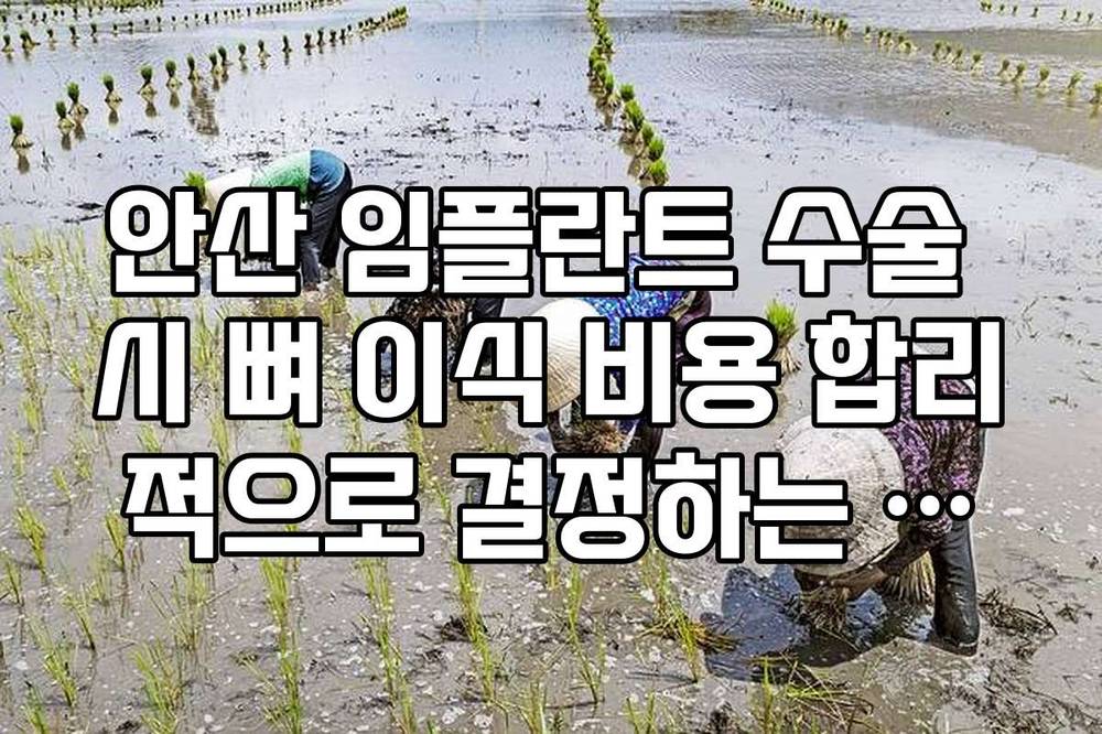 안산 임플란트 수술 시 뼈 이식 비용 합리적으로 결정하는 방법