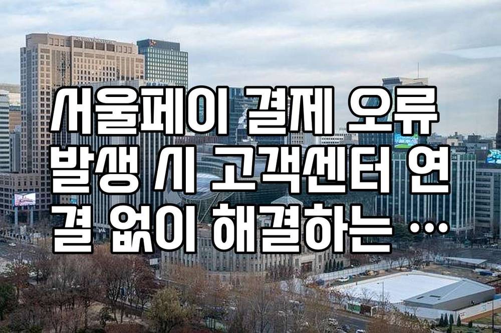 서울페이 결제 오류 발생 시 고객센터 연결 없이 해결하는 3가지