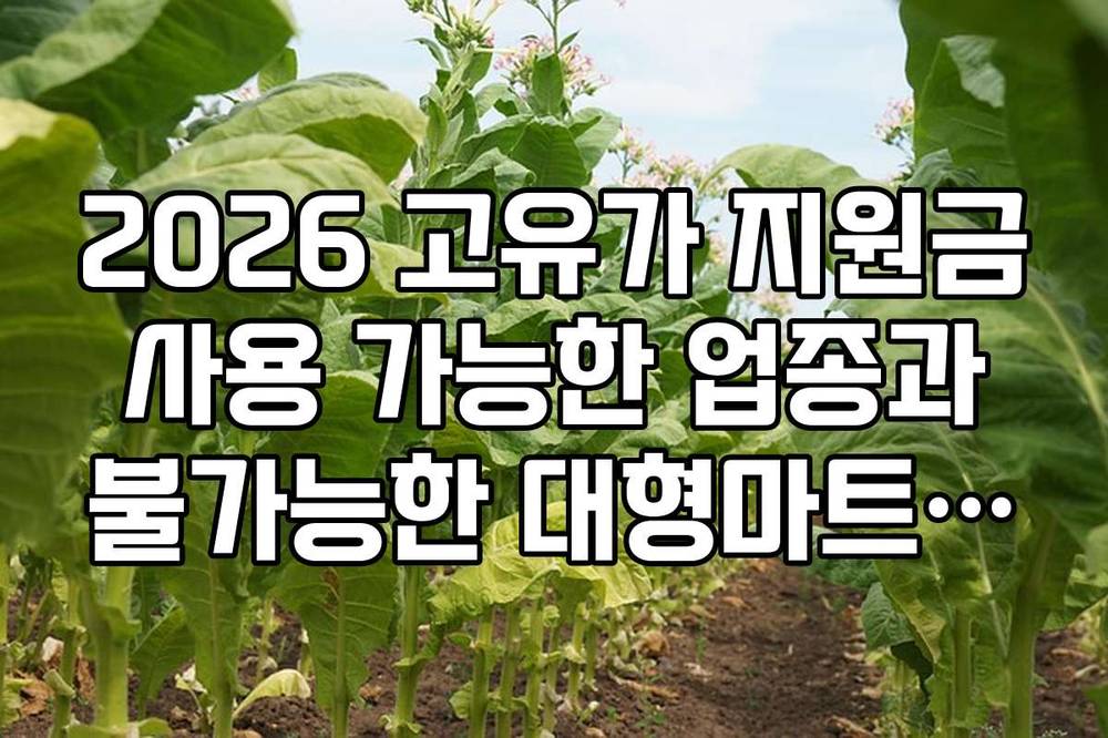 2026 고유가 지원금 사용 가능한 업종과 불가능한 대형마트 백화점 리스트
