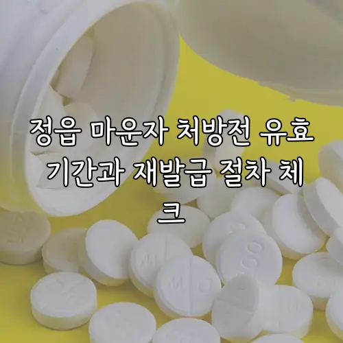 정읍 마운자 처방전 유효 기간과 재발급 절차 체크