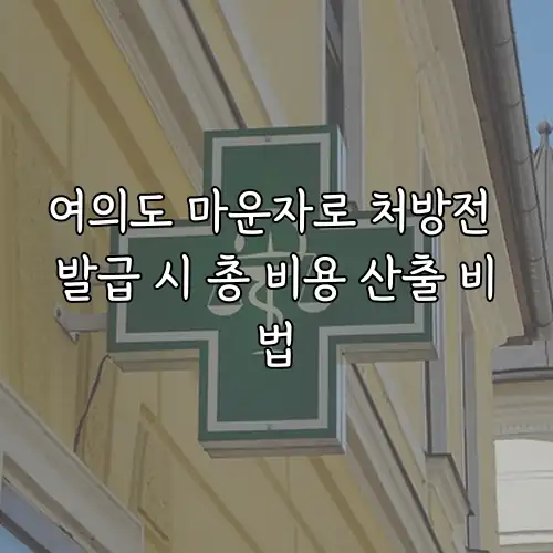 여의도 마운자로 처방전 발급 시 총 비용 산출 비법