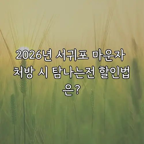 2026년 서귀포 마운자 처방 시 탐나는전 할인법은?