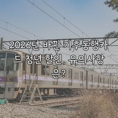 2026년 바뀐 기후동행카드 청년 할인, 유의사항은?