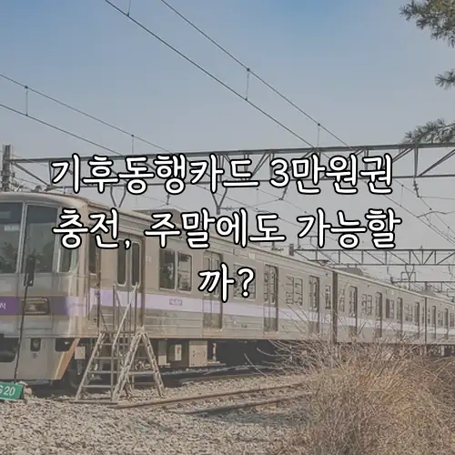 기후동행카드 3만원권 충전, 주말에도 가능할까?
