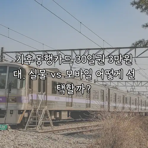 기후동행카드 30일권 3만원대, 실물 vs 모바일 어떻게 선택할까?