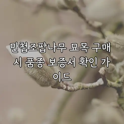 만첩조팝나무 묘목 구매 시 품종 보증서 확인 가이드