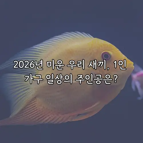 2026년 미운 우리 새끼, 1인 가구 일상의 주인공은?