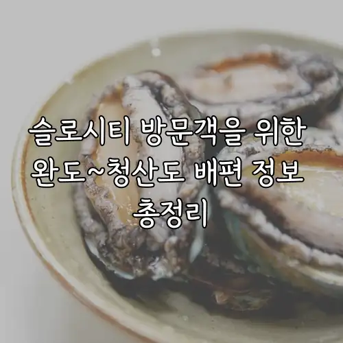 슬로시티 방문객을 위한 완도~청산도 배편 정보 총정리