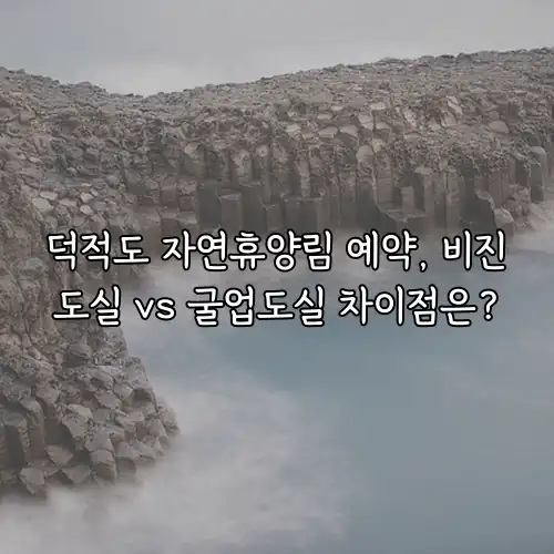 덕적도 자연휴양림 예약, 비진도실 vs 굴업도실 차이점은?