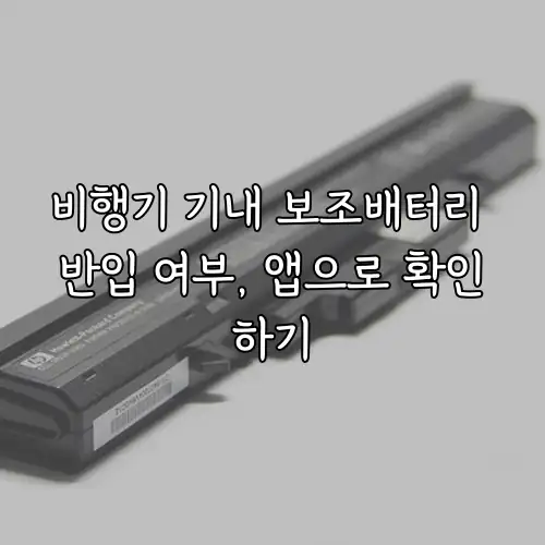 비행기 기내 보조배터리 반입 여부, 앱으로 확인하기