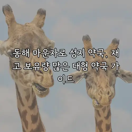 동해 마운자로 성지 약국, 재고 보유량 많은 대형 약국 가이드