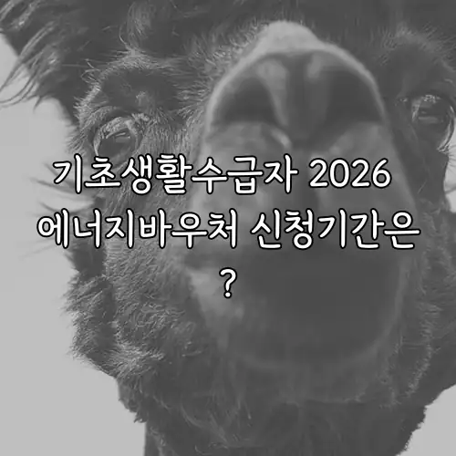 기초생활수급자 2026 에너지바우처 신청기간은?