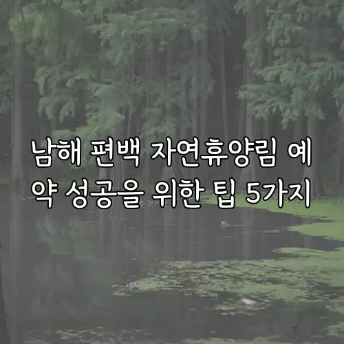 남해 편백 자연휴양림 예약 성공을 위한 팁 5가지