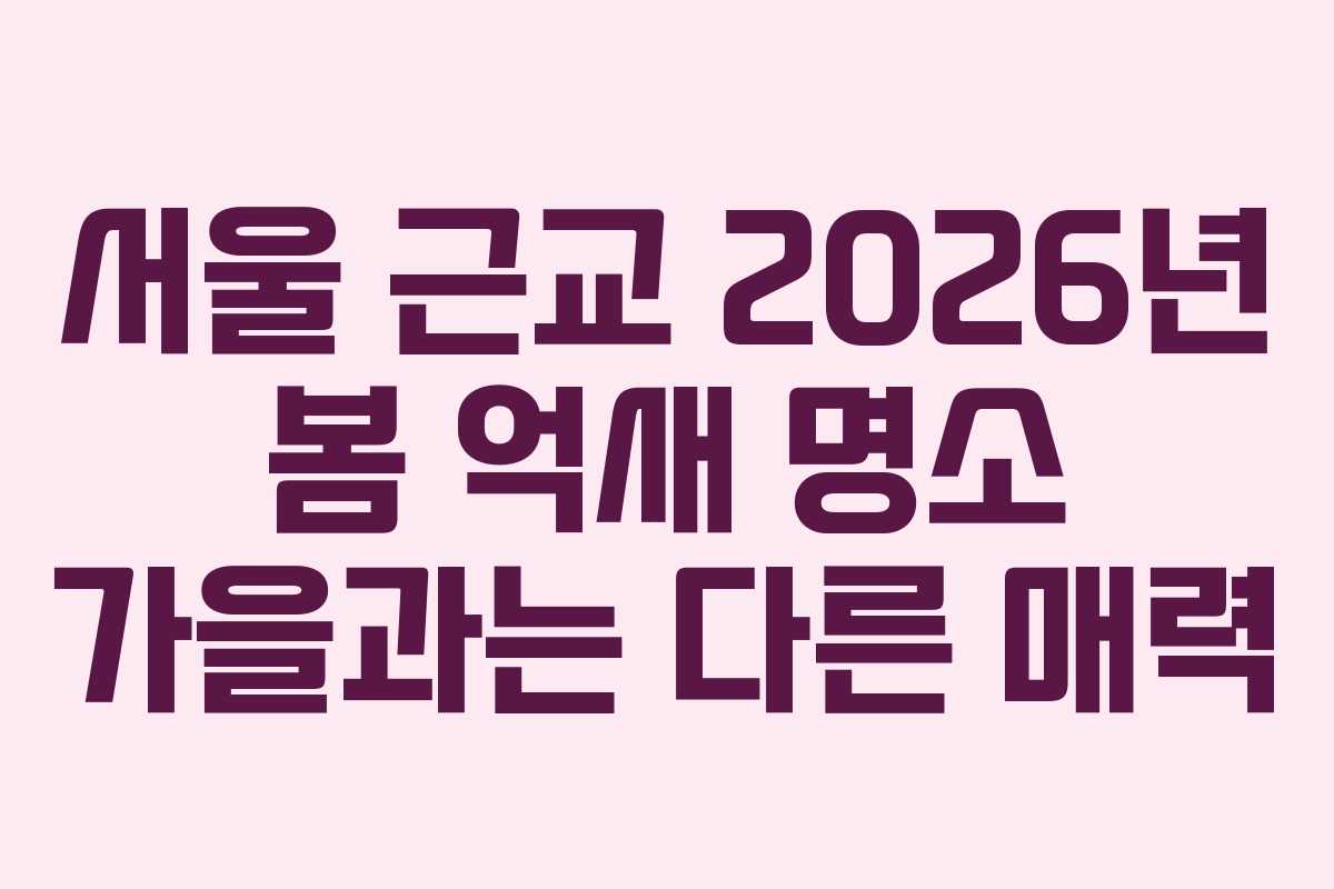 서울 근교 2026년 봄 억새 명소 가을과는 다른 매력