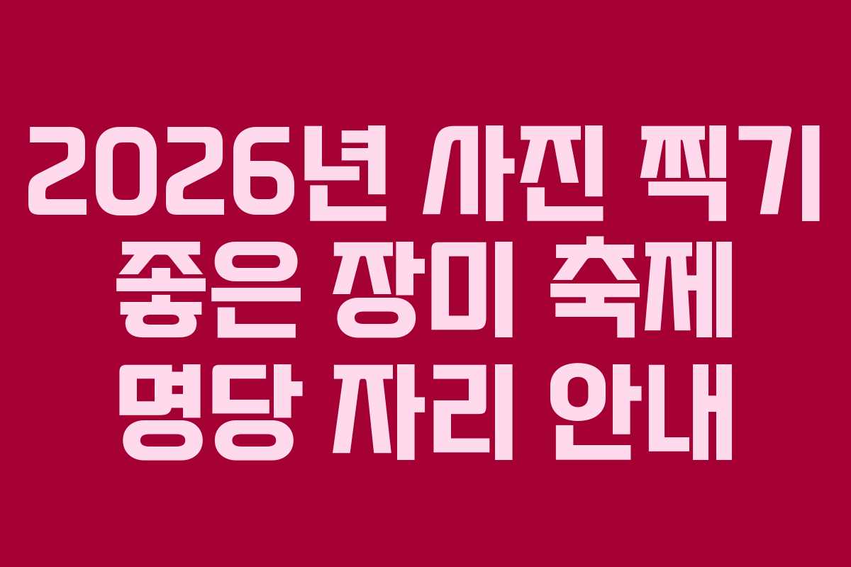2026년 사진 찍기 좋은 장미 축제 명당 자리 안내