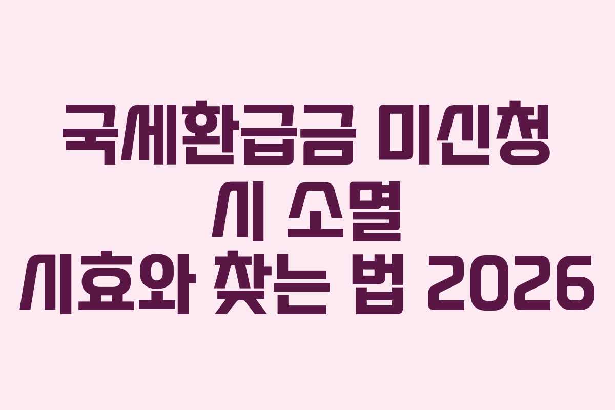 국세환급금 미신청 시 소멸 시효와 찾는 법 2026