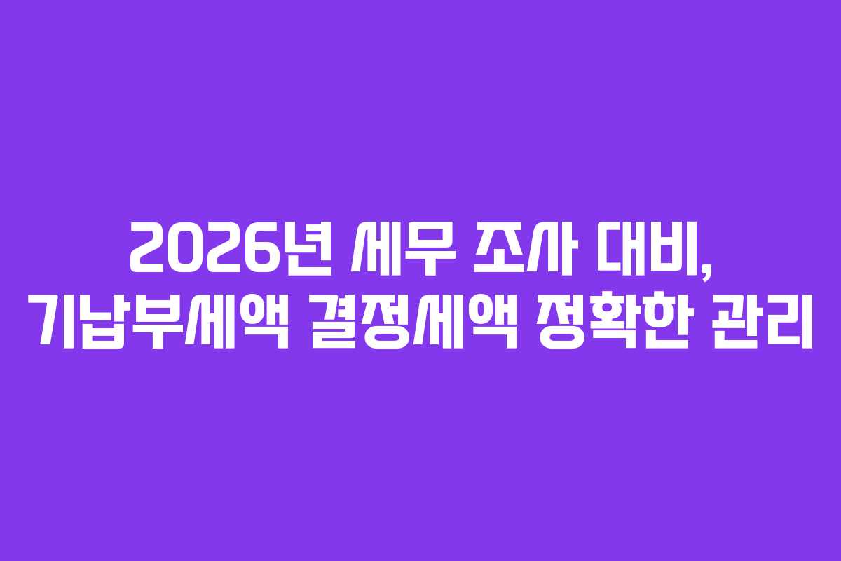 2026년 세무 조사 대비, 기납부세액 결정세액 정확한 관리