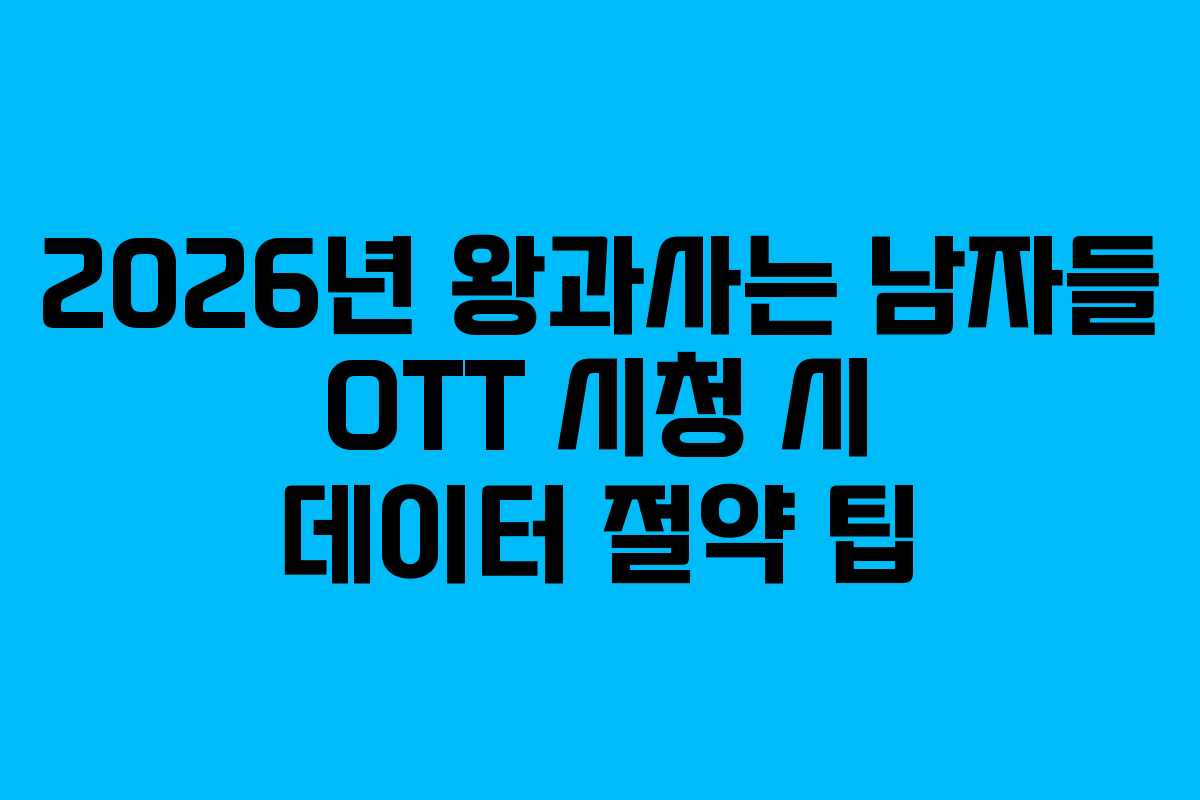 2026년 왕과사는 남자들 OTT 시청 시 데이터 절약 팁