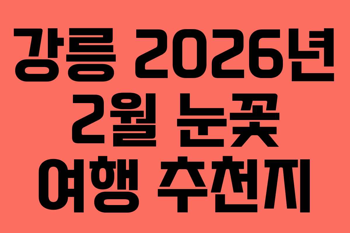 강릉 2026년 2월 눈꽃 여행 추천지