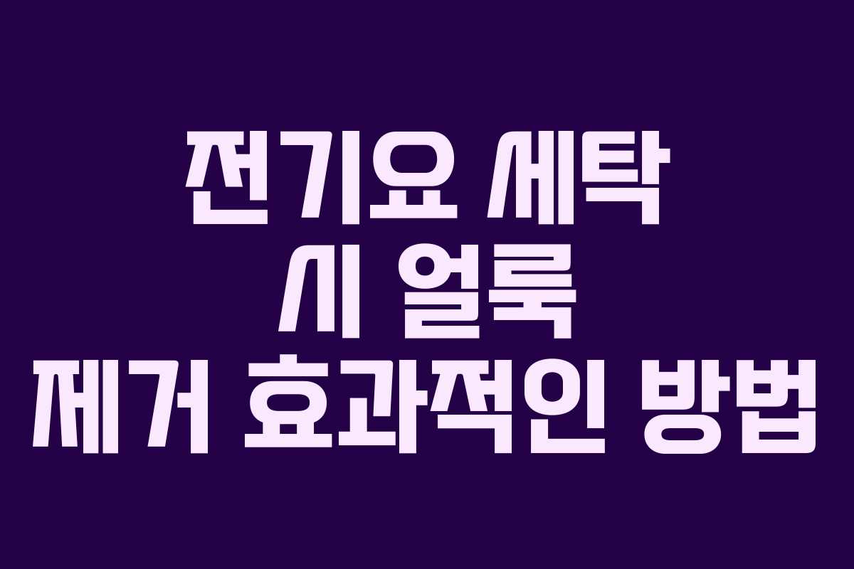 전기요 세탁 시 얼룩 제거 효과적인 방법 전기요 세탁 시 얼룩 제거 효과적인 방법