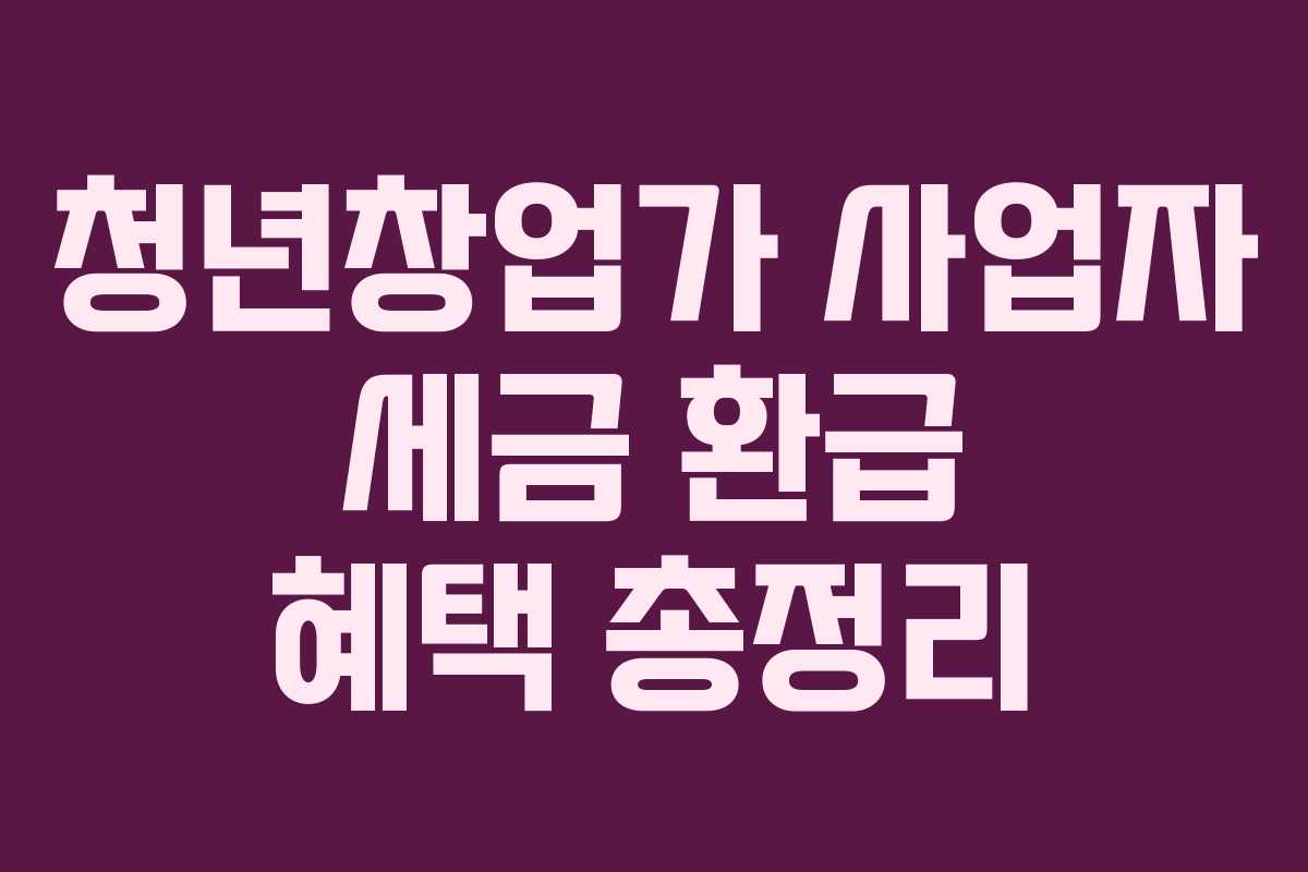 청년창업가 사업자 세금 환급 혜택 총정리 청년창업가 사업자 세금 환급 혜택 총정리