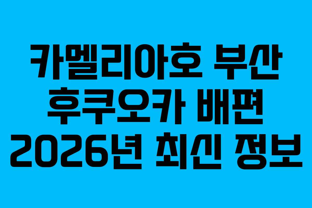 카멜리아호 부산 후쿠오카 배편 2026년 최신 정보