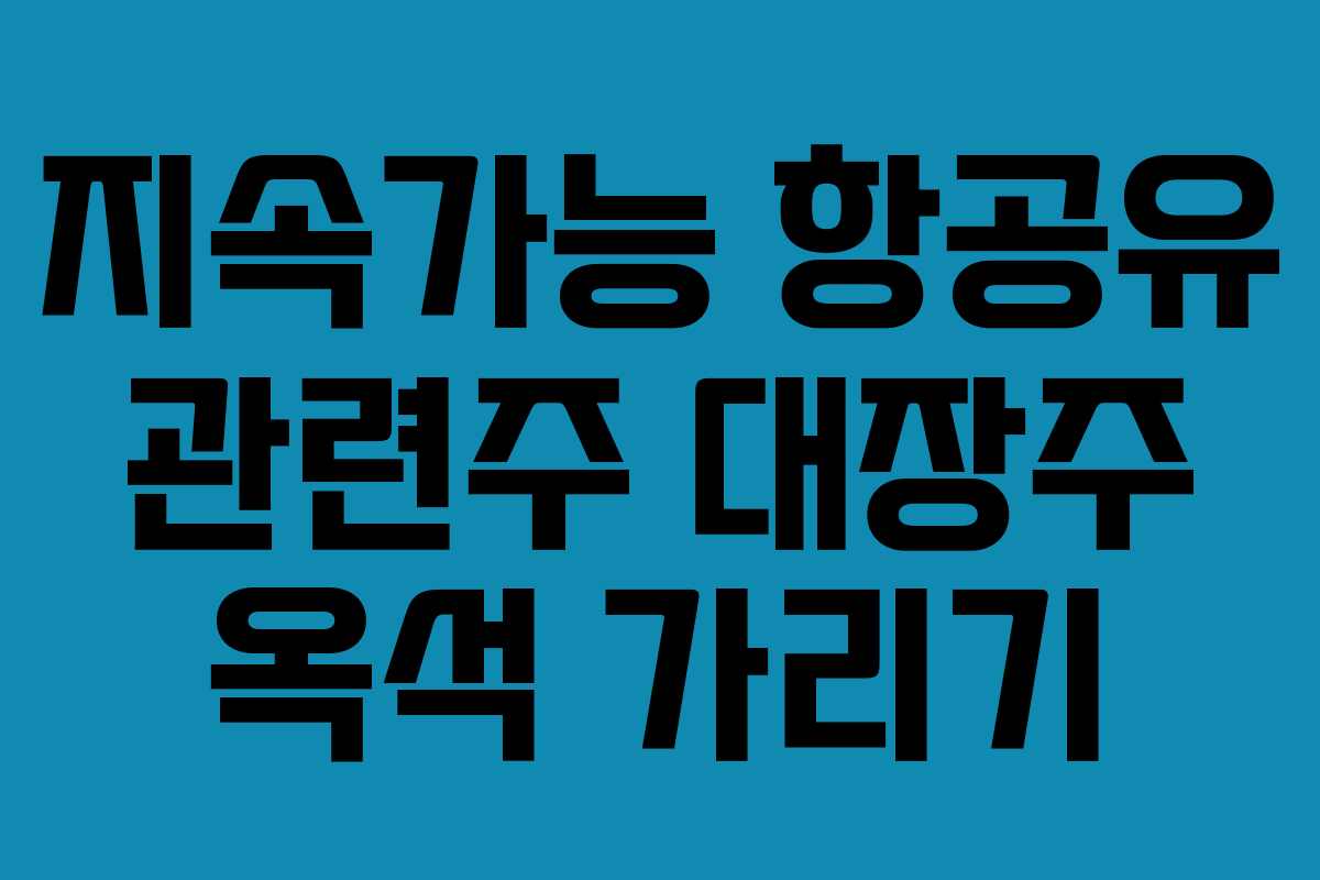지속가능 항공유 관련주 대장주 옥석 가리기