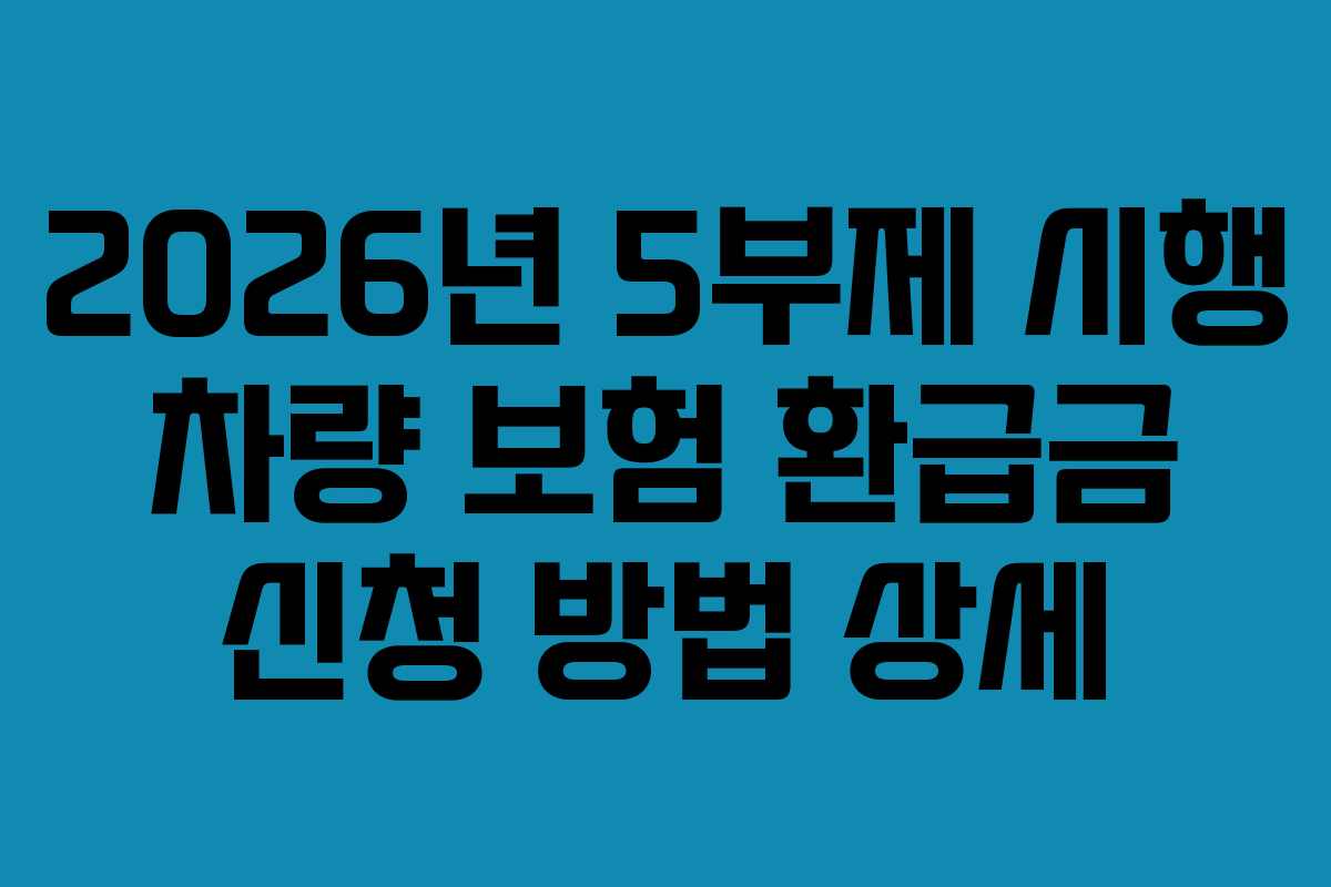2026년 5부제 시행 차량 보험 환급금 신청 방법 상세