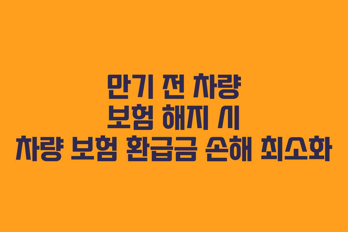 만기 전 차량 보험 해지 시 차량 보험 환급금 손해 최소화 만기 전 차량 보험 해지 시 차량 보험 환급금 손해 최소화