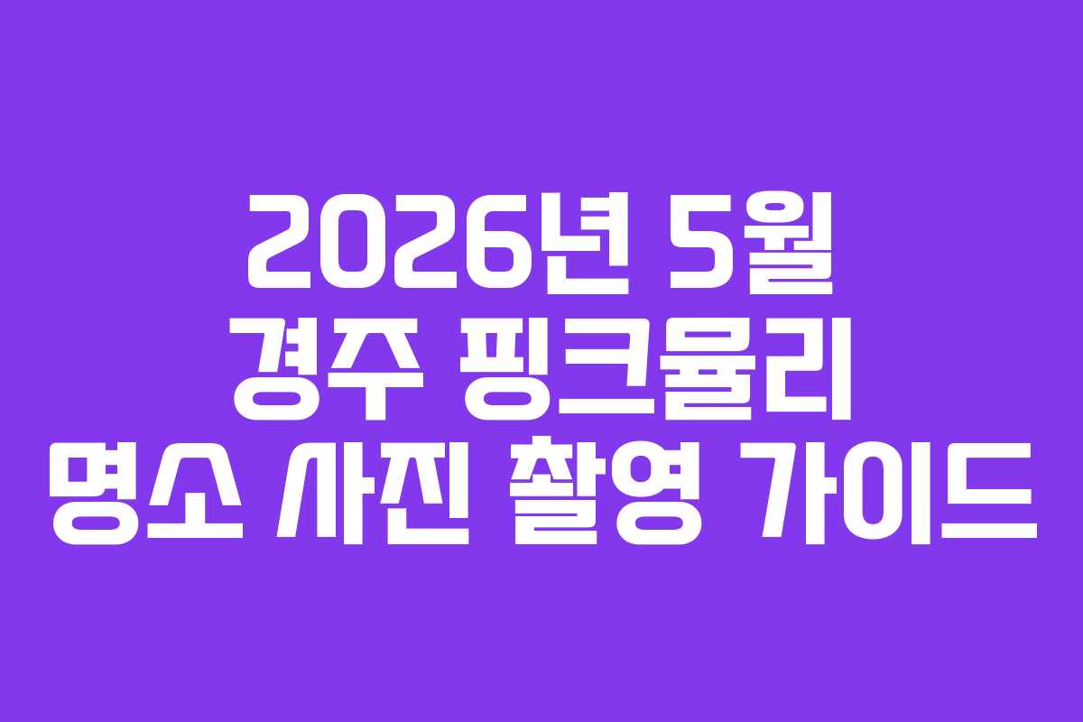 2026년 5월 경주 핑크뮬리 명소 사진 촬영 가이드