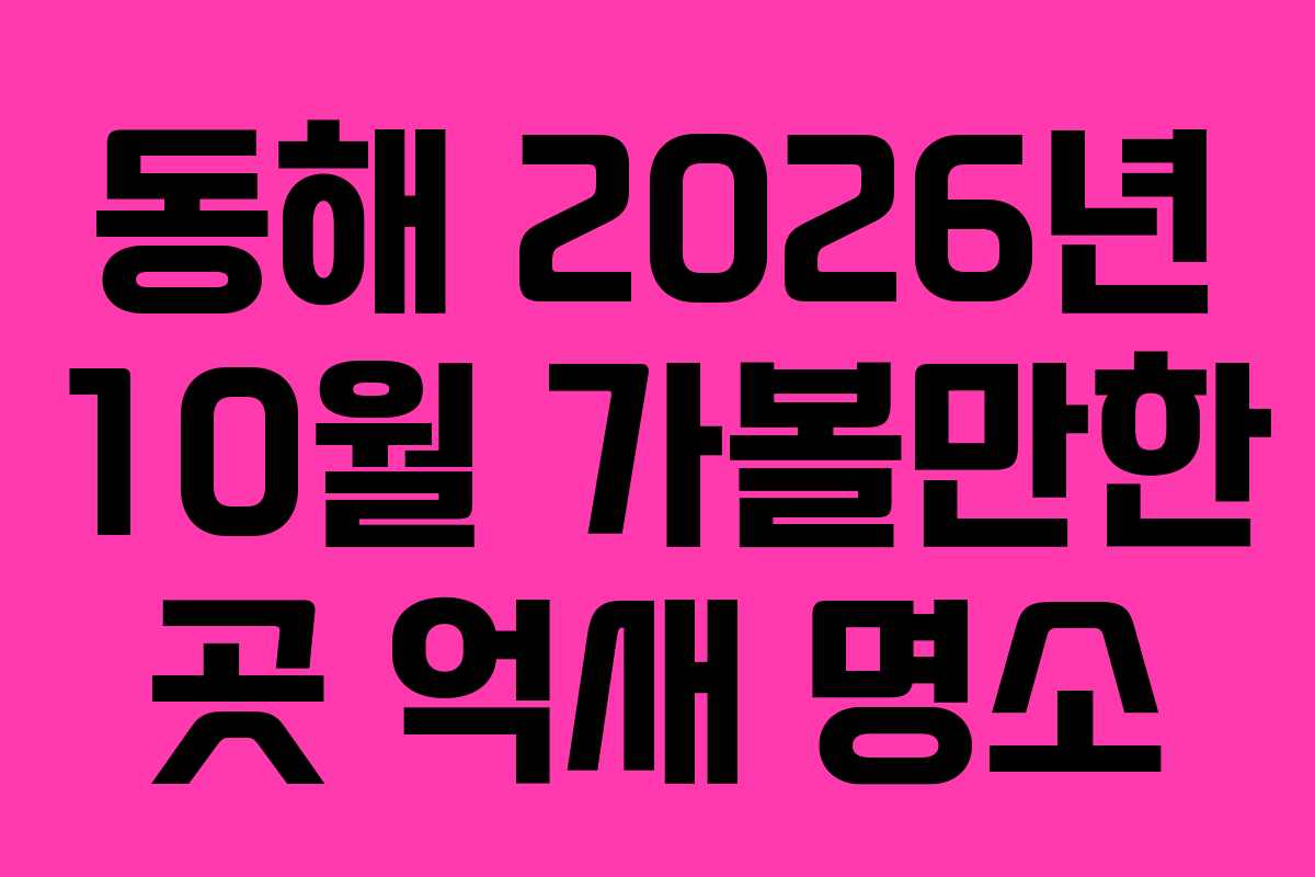 동해 2026년 10월 가볼만한 곳 억새 명소