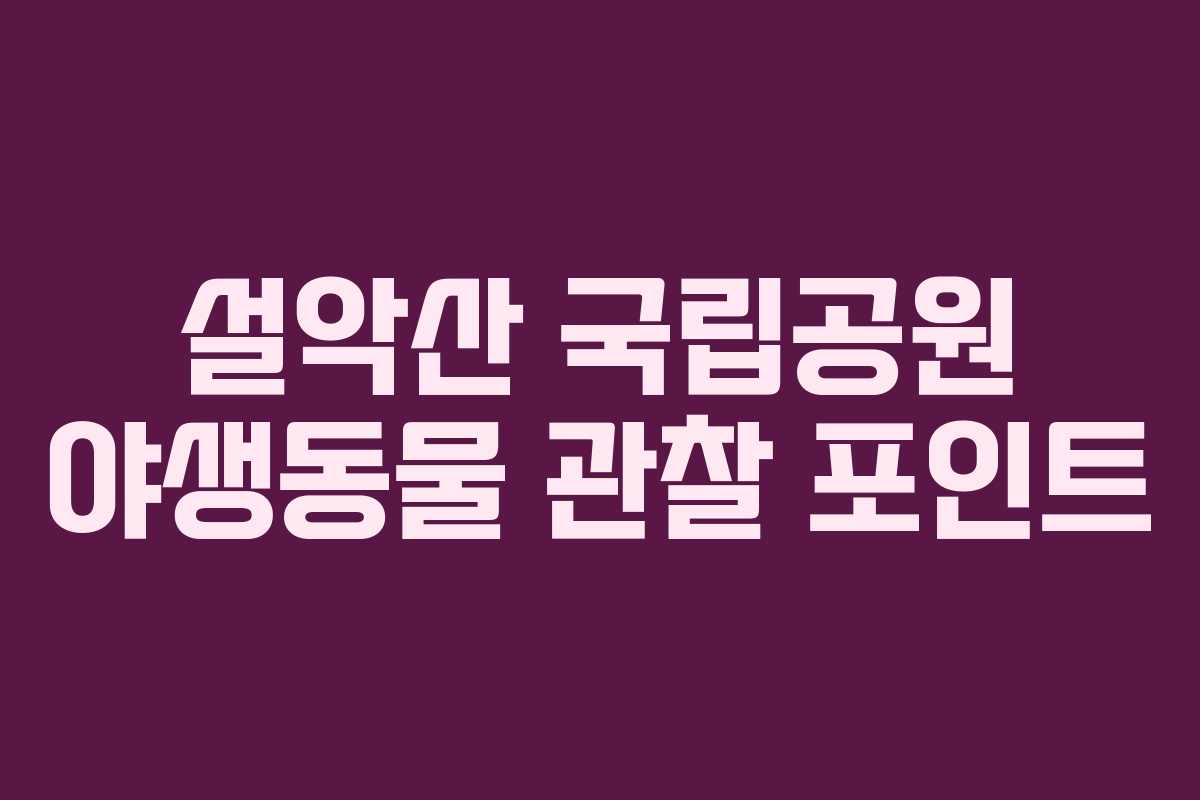 설악산 국립공원 야생동물 관찰 포인트